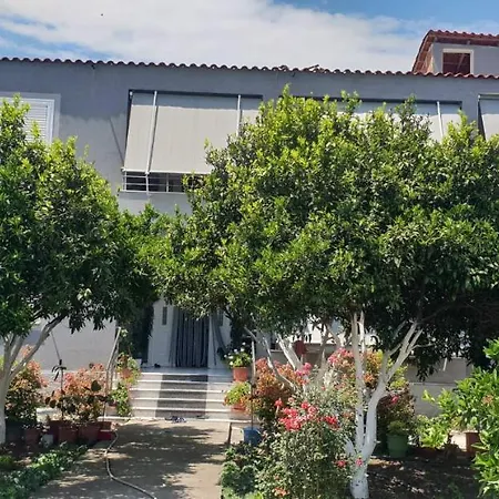 Anila Gasthuis Divjake