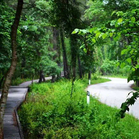 بيت ضيافة Anila *