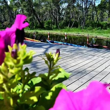 بيت ضيافة Anila