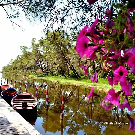 Anila بيت ضيافة ديفيجاكه