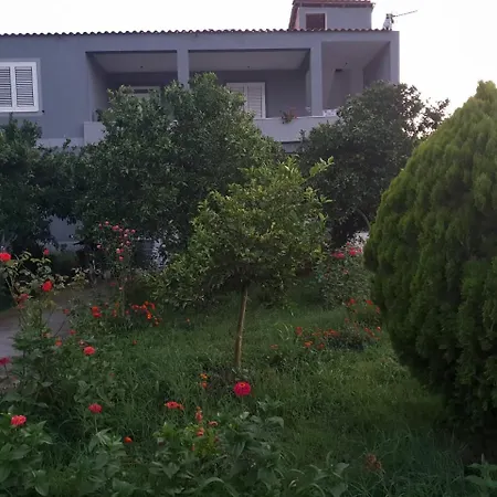 Anila بيت ضيافة ديفيجاكه