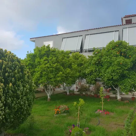 Anila * ديفيجاكه