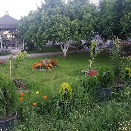 Anila بيت ضيافة *