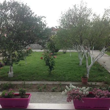 Konukevi Anila Divjake