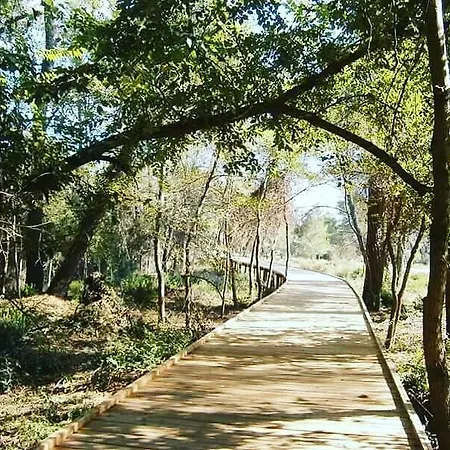 Anila Konukevi Divjake