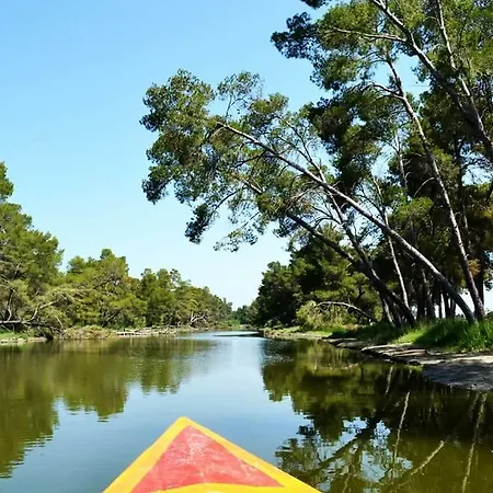 Anila Konukevi Divjake