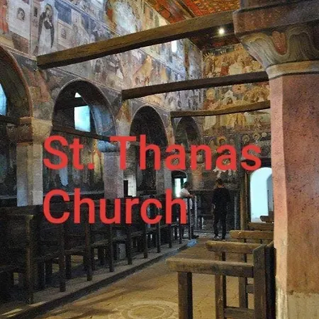 Anila Konukevi Divjake